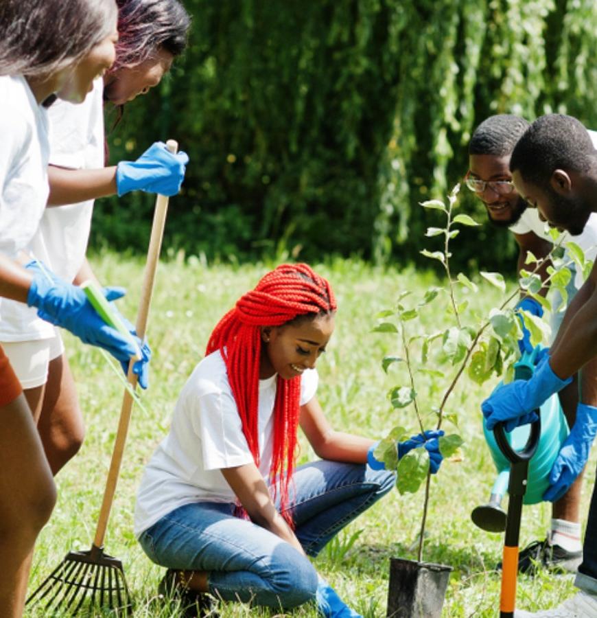 tree planting