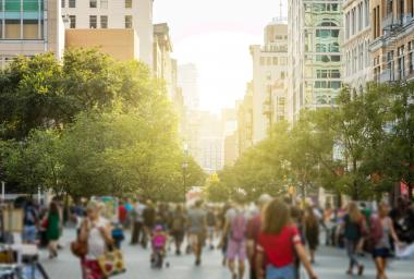 crowd of people walk down tree-lined street