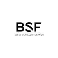 bsf logo