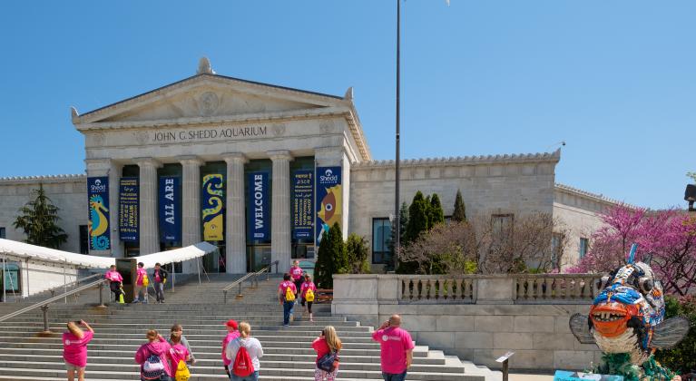 Shedd Aquarium