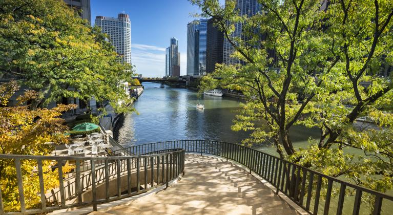 walkway down to waterfront lined with trees